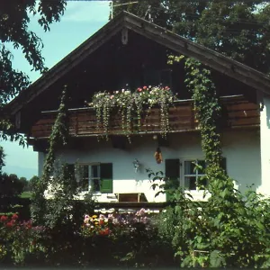 Mit Alpenblick Bichl